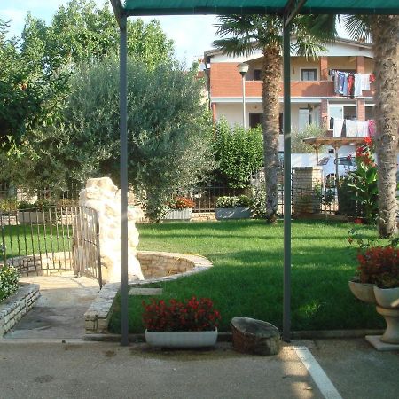 Apartments And Rooms Branka Novigrad  Bagian luar foto