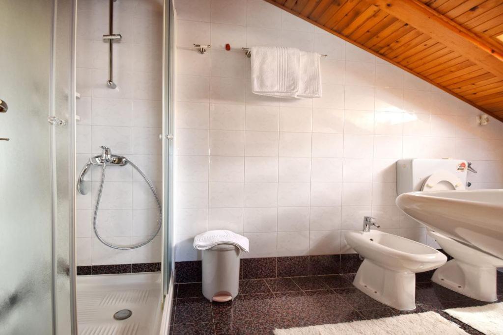 Apartments And Rooms Branka Novigrad  Bagian luar foto